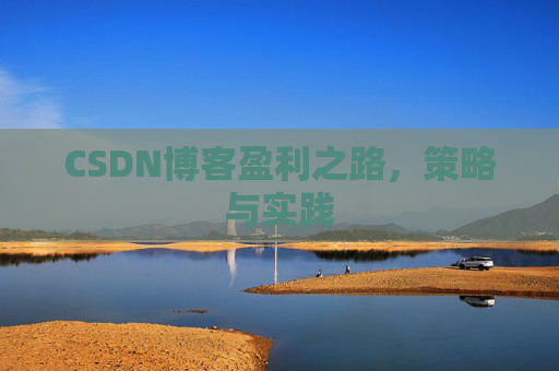CSDN博客盈利之路，策略与实践